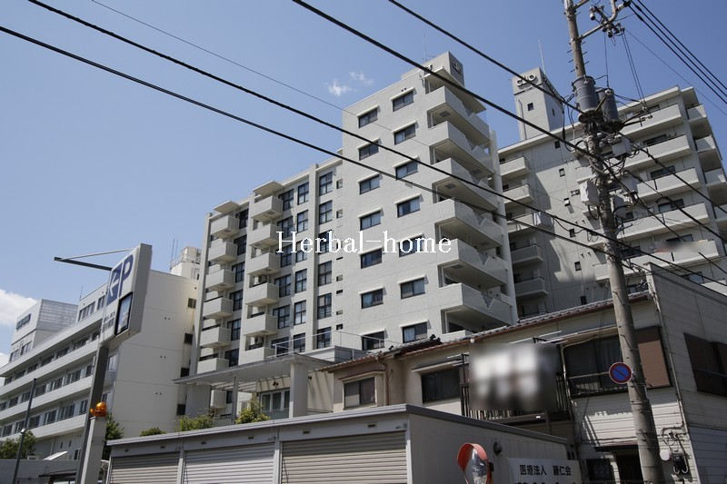 42251画像